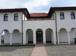 Отель Pensiunea Casa Alba  Oșorhei